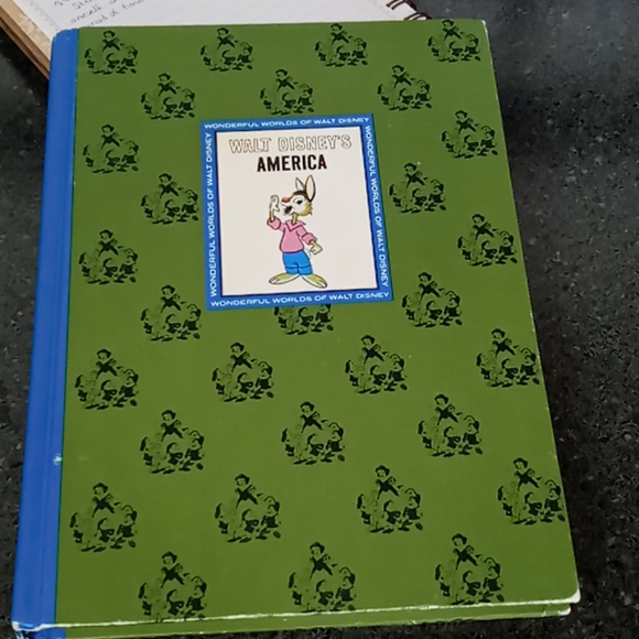 Disney Other - Walt Disney's America Book